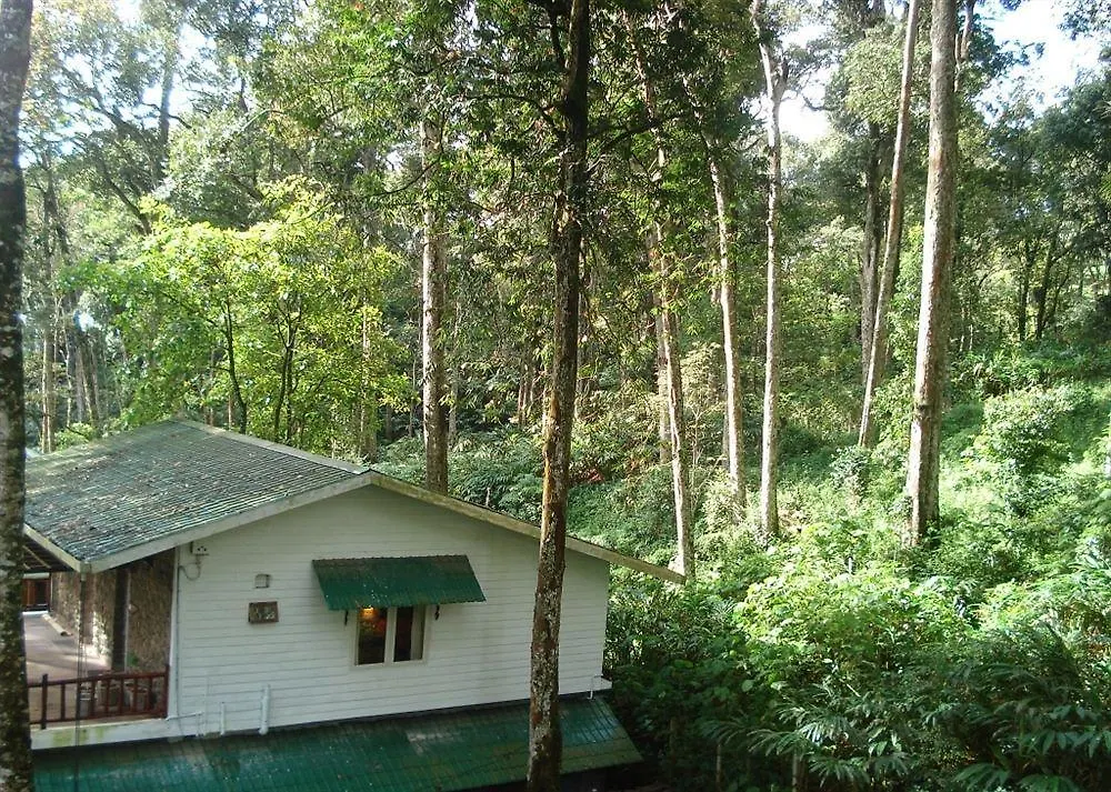 Greenspaces B&B Муннар Индия