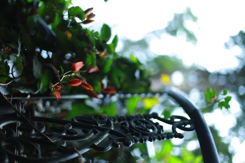 Greenspaces B&B Муннар Отель типа 