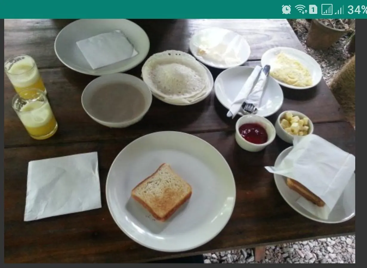 Greenspaces B&B Муннар Индия