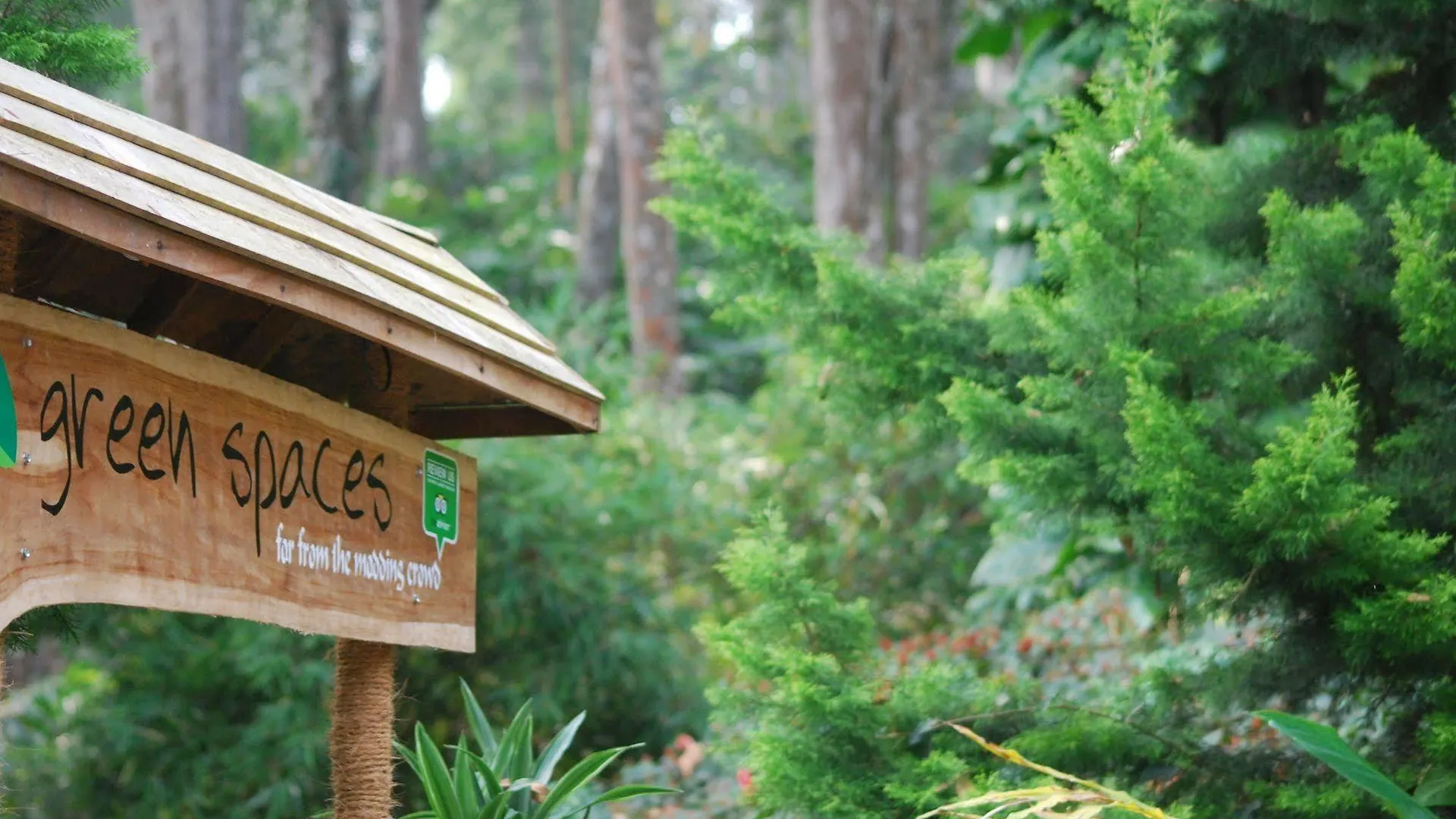 Greenspaces B&B Муннар