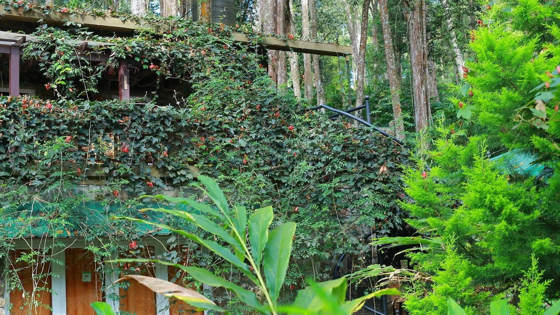 Greenspaces B&B Муннар